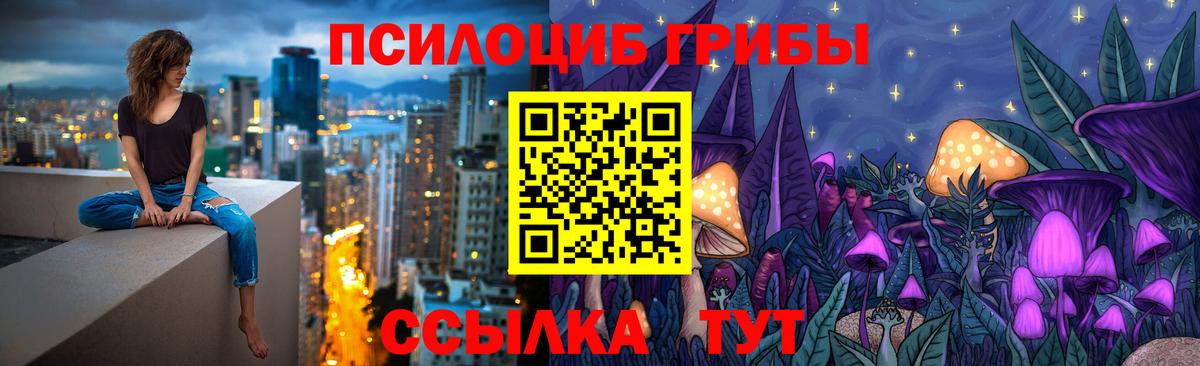 Псилоцибиновые грибы Cubensis  Вход с VPN  Кинешма 